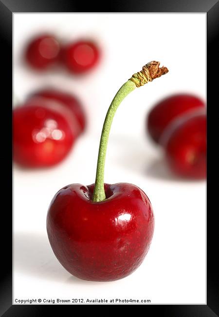 Red Cherries Framed Print by Craig Brown