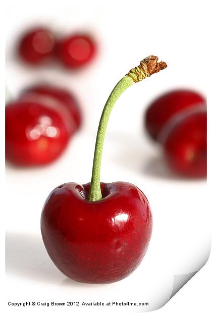 Red Cherries Print by Craig Brown