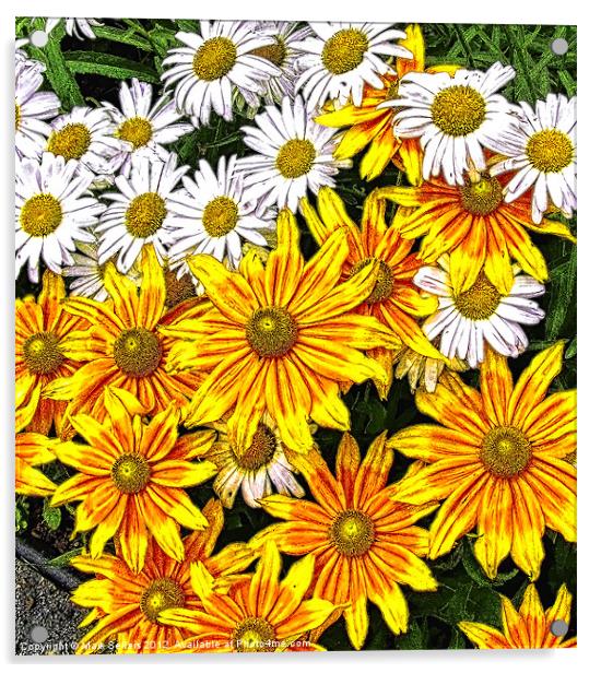 Daisy Garden Acrylic by Mark Sellers
