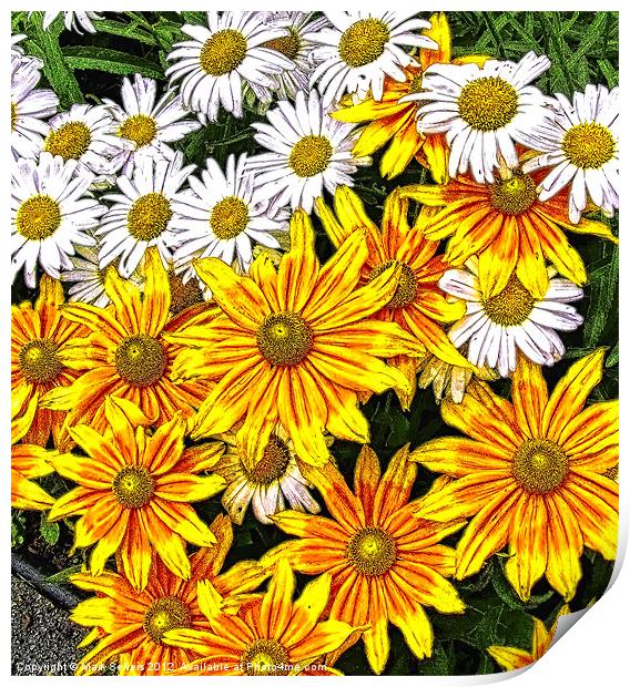 Daisy Garden Print by Mark Sellers