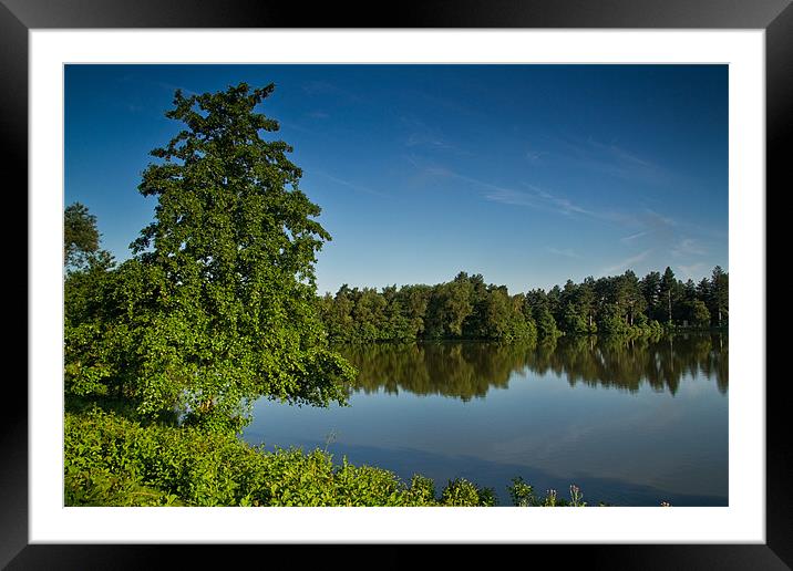 Woodland Reflections Framed Mounted Print by Chris Andrew