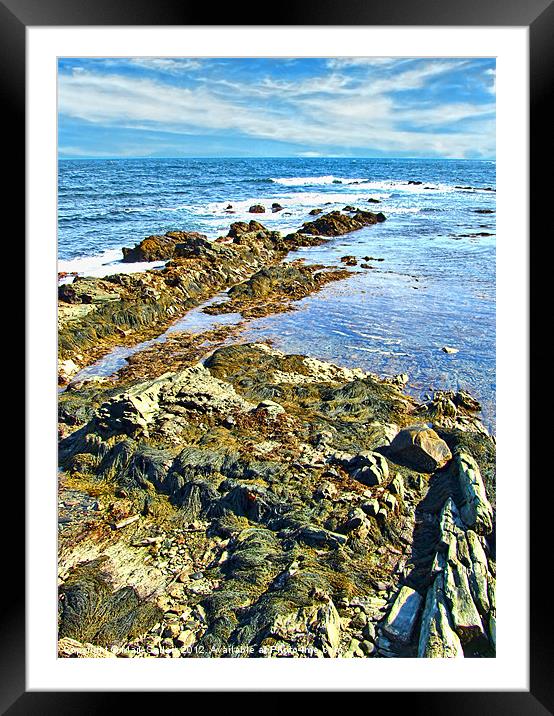 Rocky Shore Framed Mounted Print by Mark Sellers