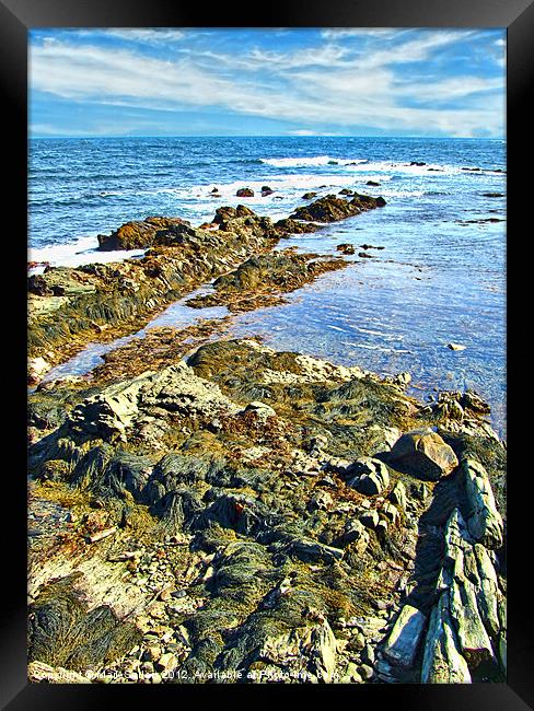 Rocky Shore Framed Print by Mark Sellers