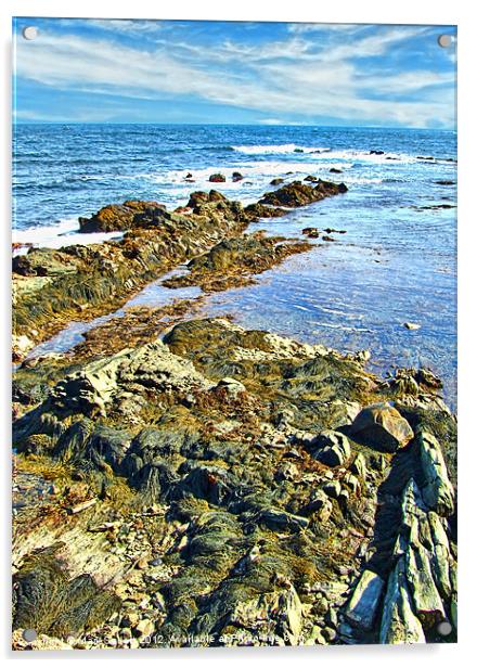 Rocky Shore Acrylic by Mark Sellers