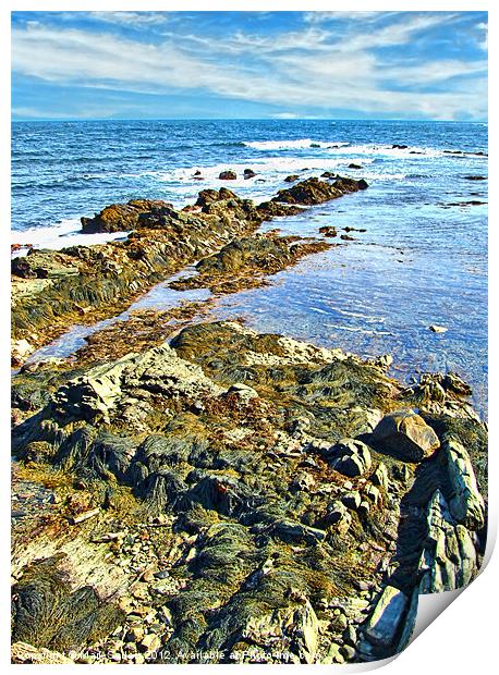 Rocky Shore Print by Mark Sellers