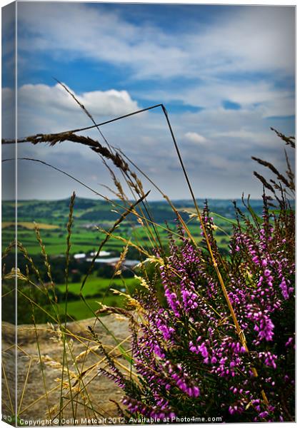 View from Otley Chevin #1 Canvas Print by Colin Metcalf