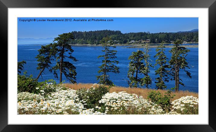 Tall Pines and Daisies Framed Mounted Print by Louise Heusinkveld