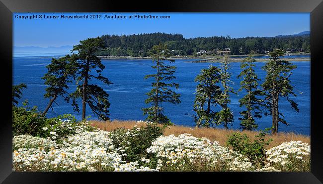 Tall Pines and Daisies Framed Print by Louise Heusinkveld