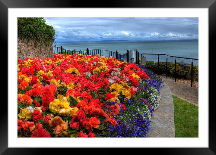 Tenby in Bloom Framed Mounted Print by Steve Purnell