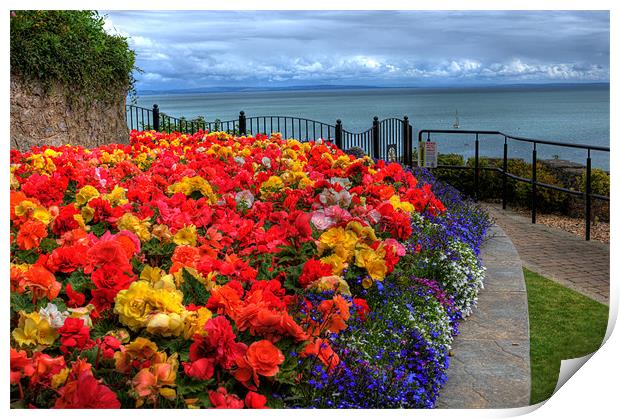 Tenby in Bloom Print by Steve Purnell