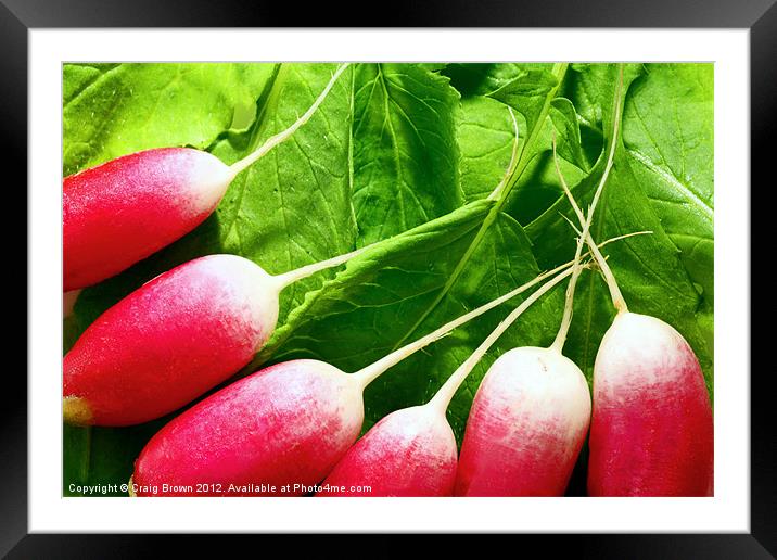 Radishes Framed Mounted Print by Craig Brown