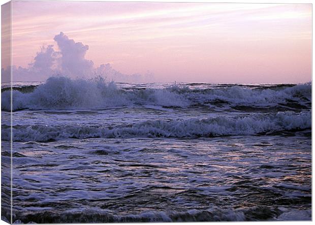 Reaching for the clouds Canvas Print by Susan Medeiros