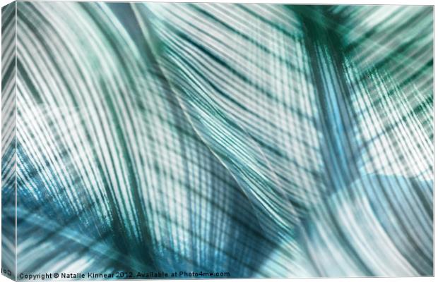 Nature Leaves Abstract in Turquoise and Jade Canvas Print by Natalie Kinnear
