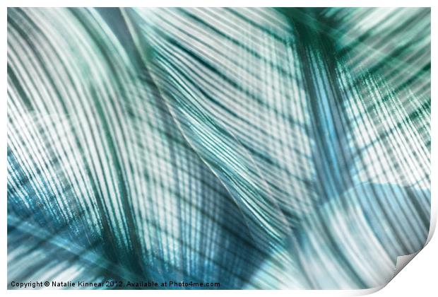 Nature Leaves Abstract in Turquoise and Jade Print by Natalie Kinnear