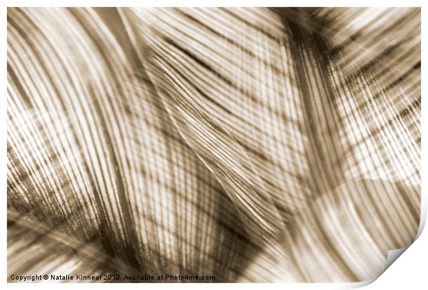 Nature Leaves Abstract in Sepia Print by Natalie Kinnear