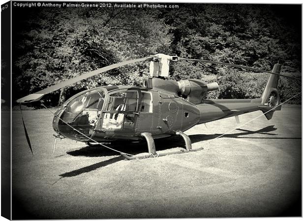 Helicopter Canvas Print by Anthony Palmer-Greene