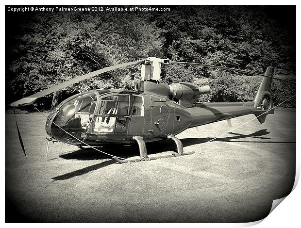Helicopter Print by Anthony Palmer-Greene