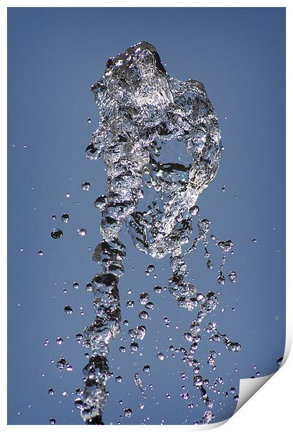 Water - Whatzit Print by Craig Mansell