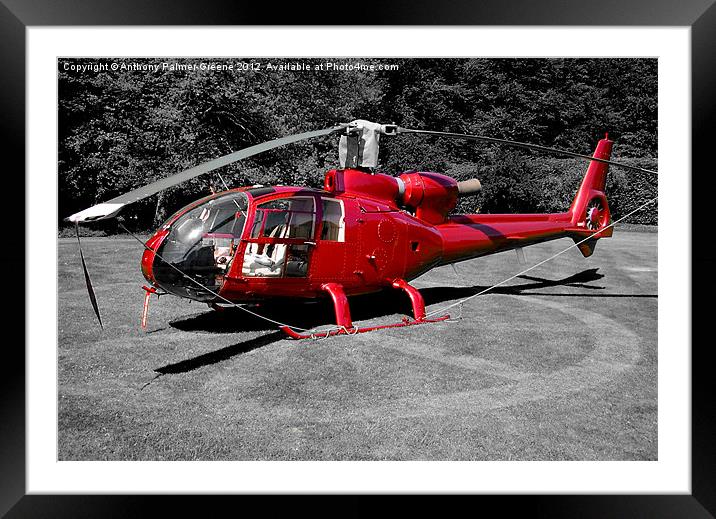 Helicopter Framed Mounted Print by Anthony Palmer-Greene