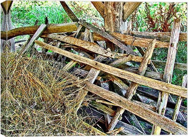Hay Shed Canvas Print by Mark Sellers