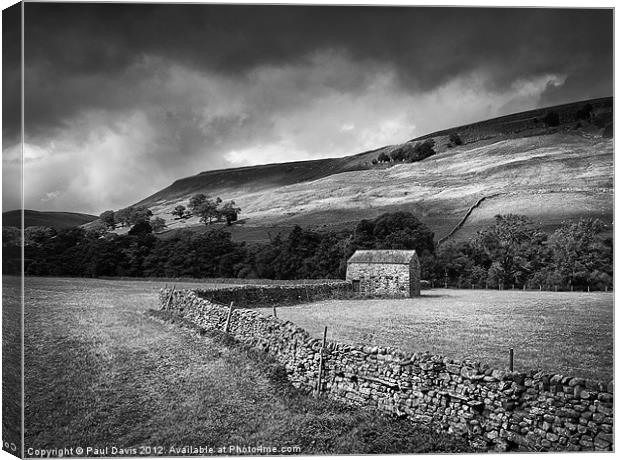 The Dales in mono Canvas Print by Paul Davis