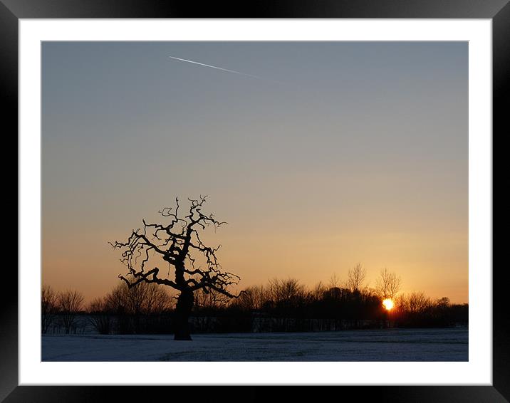 Winter Sunset Framed Mounted Print by Noreen Linale