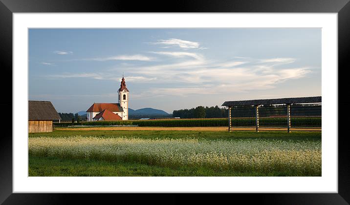 Summer in Slovenia Framed Mounted Print by Ian Middleton