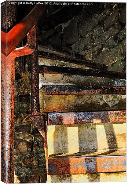 Rustic Tower Stairway Canvas Print by Betty LaRue