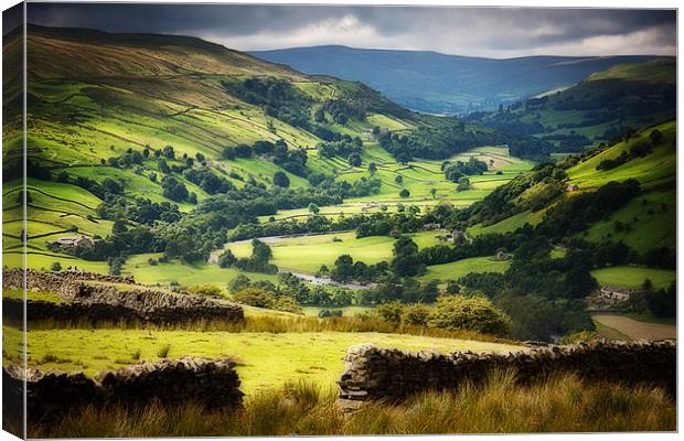 The Yorkshire Dales Canvas Print by Paul Davis