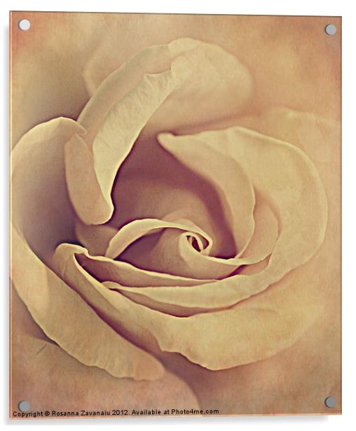 Rose textures. Acrylic by Rosanna Zavanaiu
