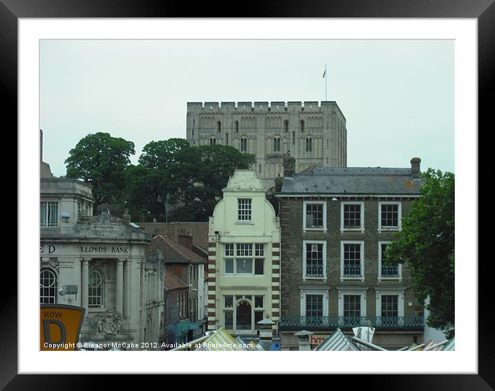 Historic Norwich! Framed Mounted Print by Eleanor McCabe