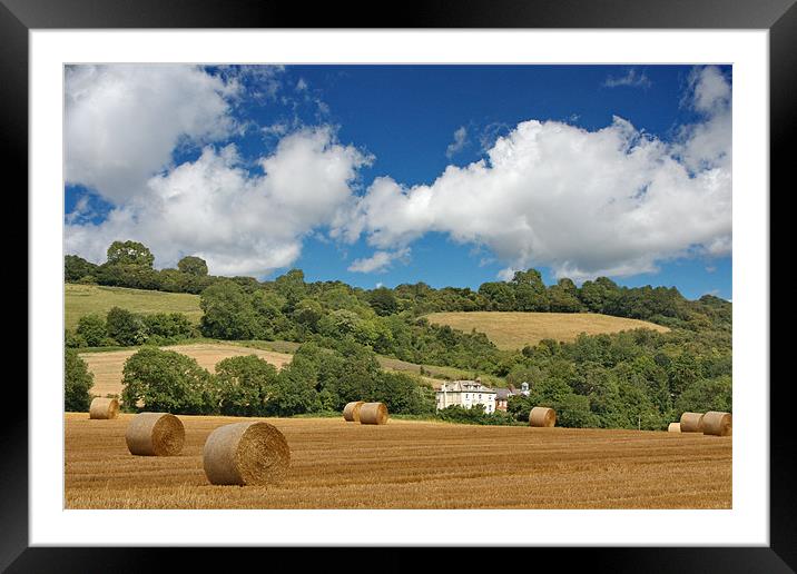 Biggin Hill Wheat Fields Framed Mounted Print by Phil Clements