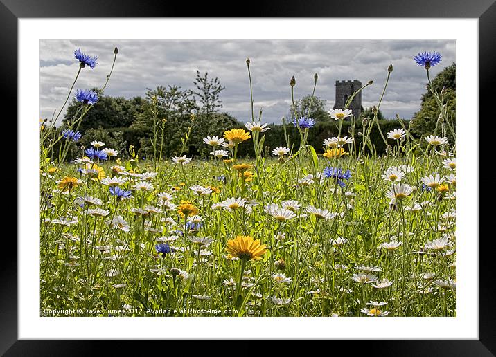 English Country Wildflower Meadow Framed Mounted Print by Dave Turner