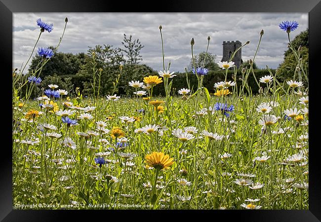 English Country Wildflower Meadow Framed Print by Dave Turner