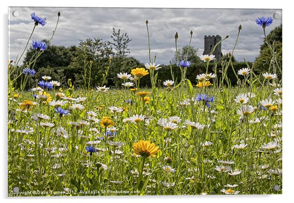 English Country Wildflower Meadow Acrylic by Dave Turner