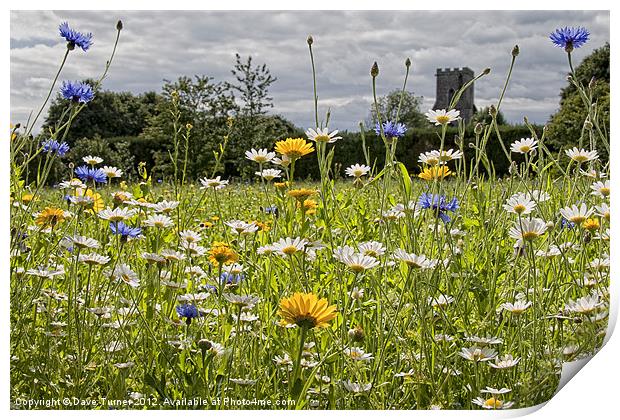 English Country Wildflower Meadow Print by Dave Turner
