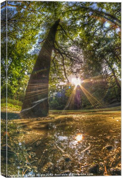 Pond in the woods Canvas Print by Nathan Wright