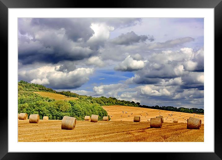 Hay Bales Framed Mounted Print by Phil Clements