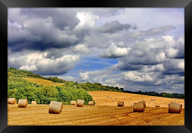 Hay Bales Framed Print by Phil Clements