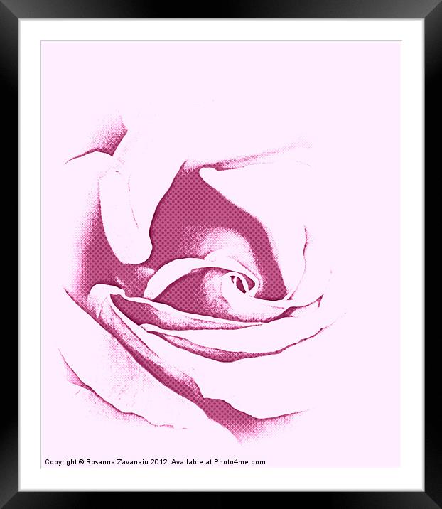 Purple Rose Sillouette. Framed Mounted Print by Rosanna Zavanaiu