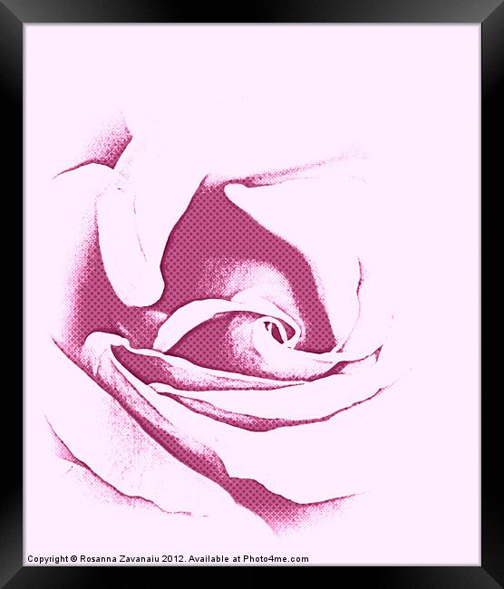 Purple Rose Sillouette. Framed Print by Rosanna Zavanaiu