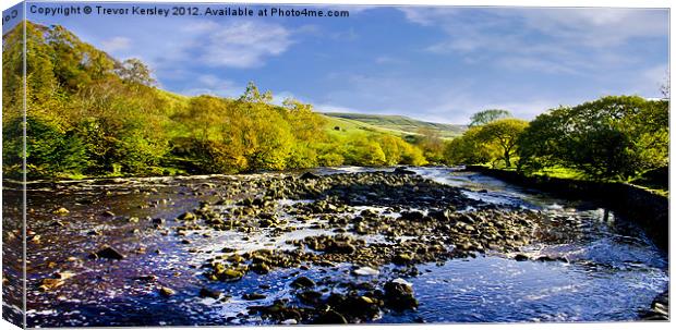 The River Swale at Keld Canvas Print by Trevor Kersley RIP