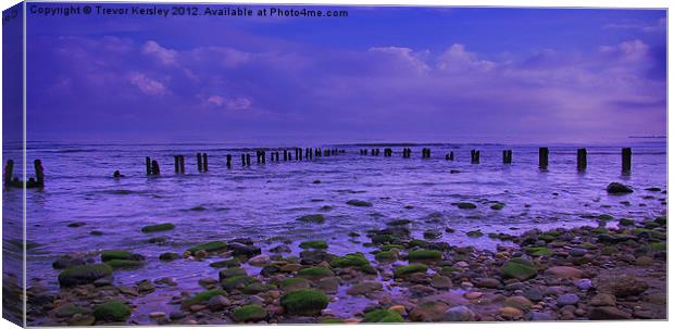 The Sea Defence Canvas Print by Trevor Kersley RIP