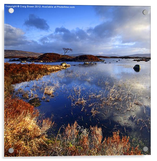 Rannoch Moor Lochan Acrylic by Craig Brown