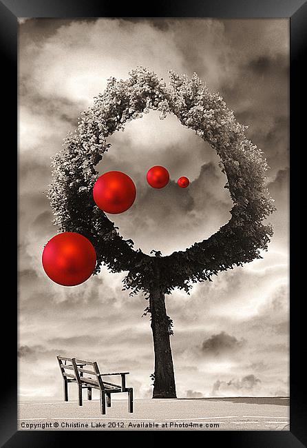 Bauble Entertainment Framed Print by Christine Lake