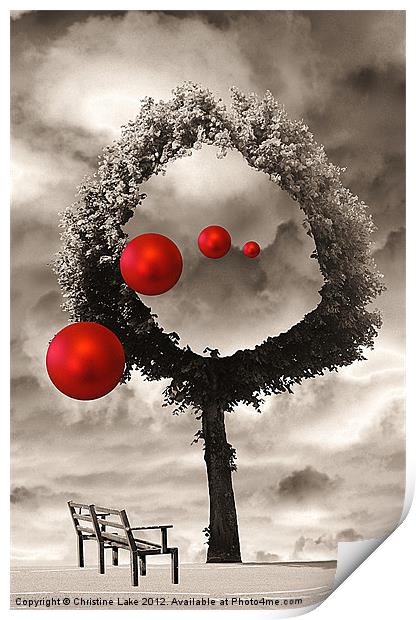 Bauble Entertainment Print by Christine Lake