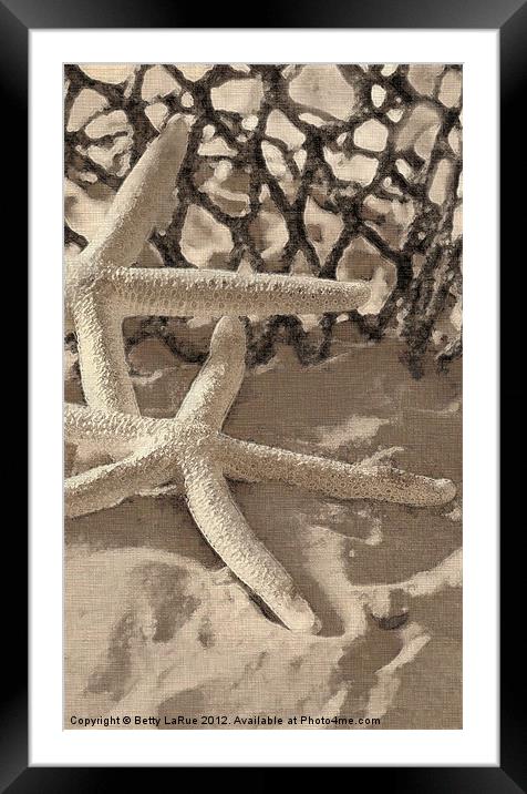 Starfish Framed Mounted Print by Betty LaRue