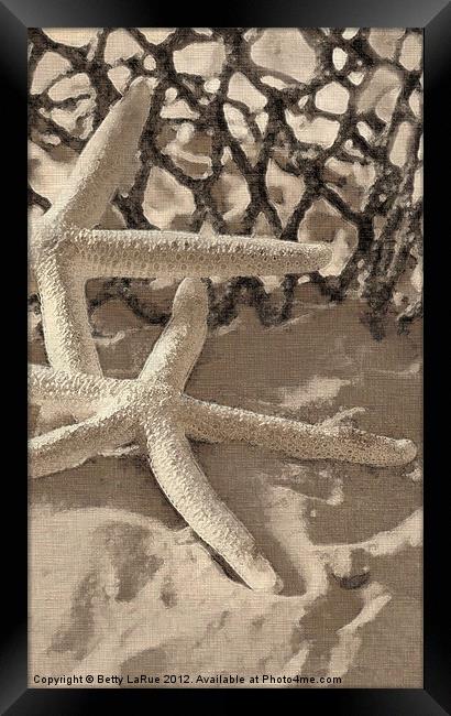 Starfish Framed Print by Betty LaRue