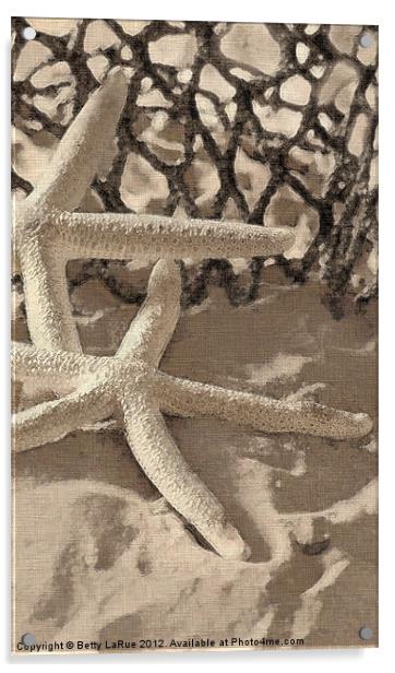 Starfish Acrylic by Betty LaRue