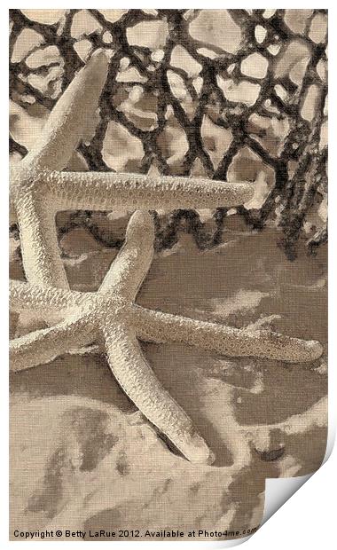 Starfish Print by Betty LaRue